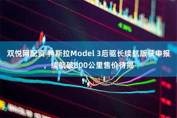 双悦网配资 特斯拉Model 3后驱长续航版获申报，续航破800公里售价待揭