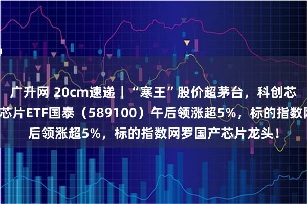 广升网 20cm速递｜“寒王”股价超茅台，科创芯片景气持续！科创芯片ETF国泰（589100）午后领涨超5%，标的指数网罗国产芯片龙头！