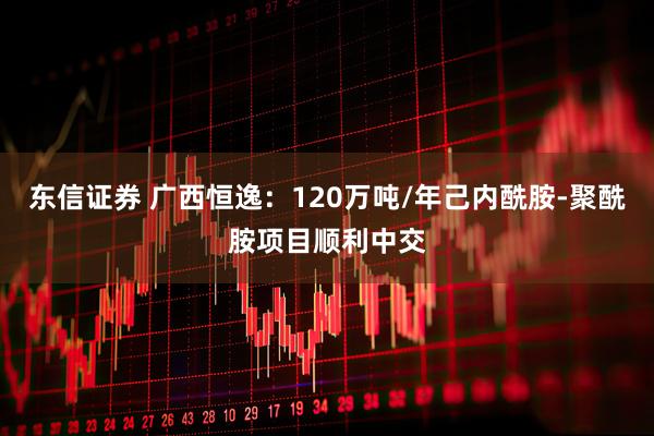 东信证券 广西恒逸：120万吨/年己内酰胺-聚酰胺项目顺利中交