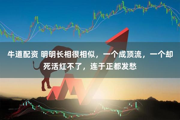 牛道配资 明明长相很相似，一个成顶流，一个却死活红不了，连于正都发愁