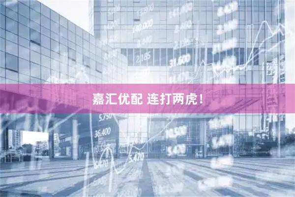 嘉汇优配 连打两虎！